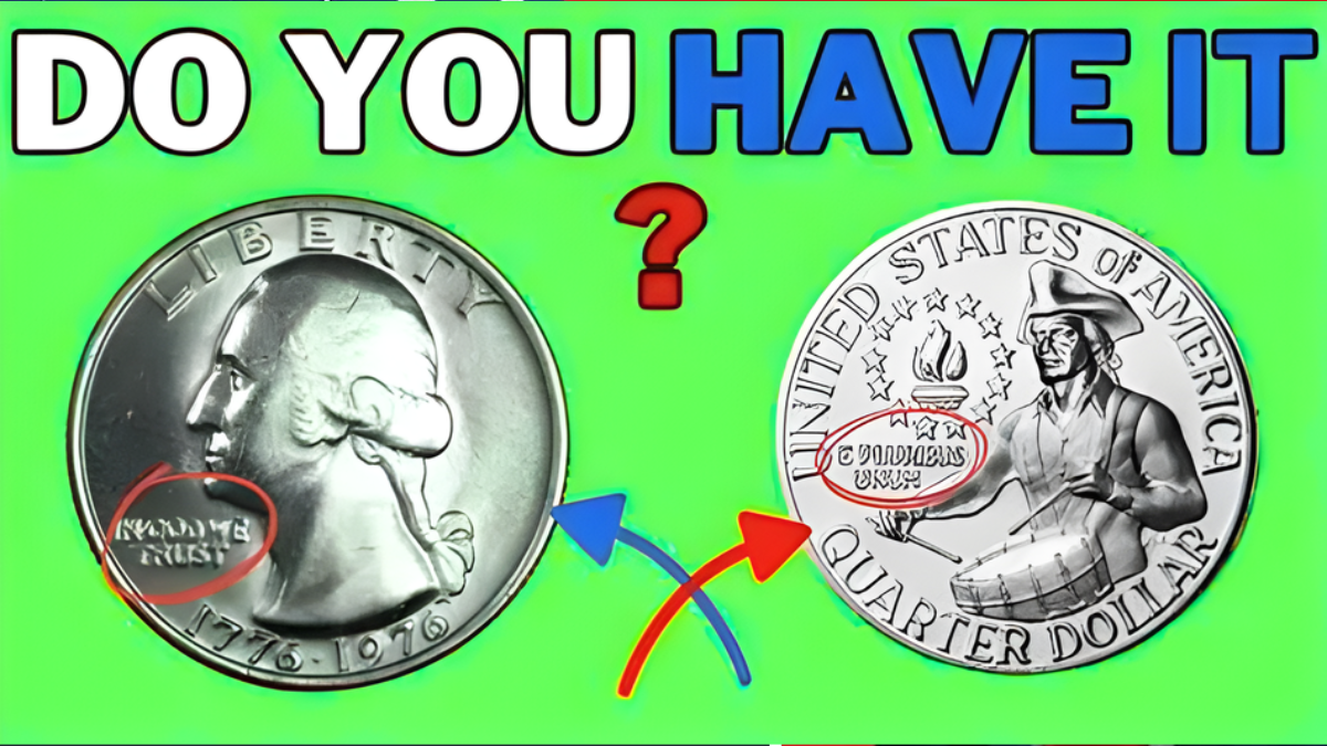 $116 Million Coin Hunt