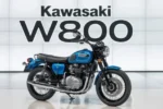 Kawasaki W800 2025